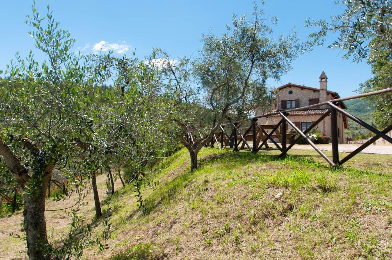 Agriturismo Molino Verde Montecchio  Exterior photo