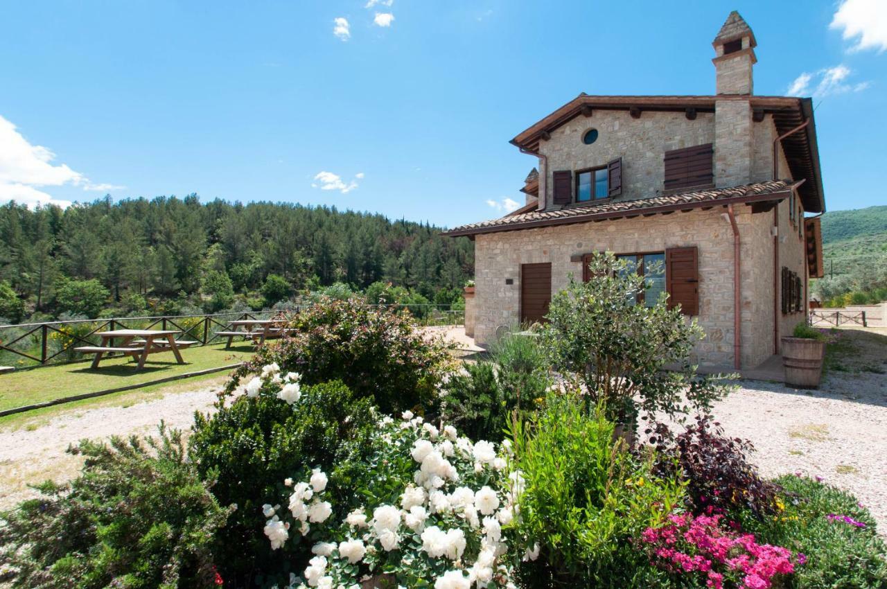 Agriturismo Molino Verde Montecchio  Exterior photo